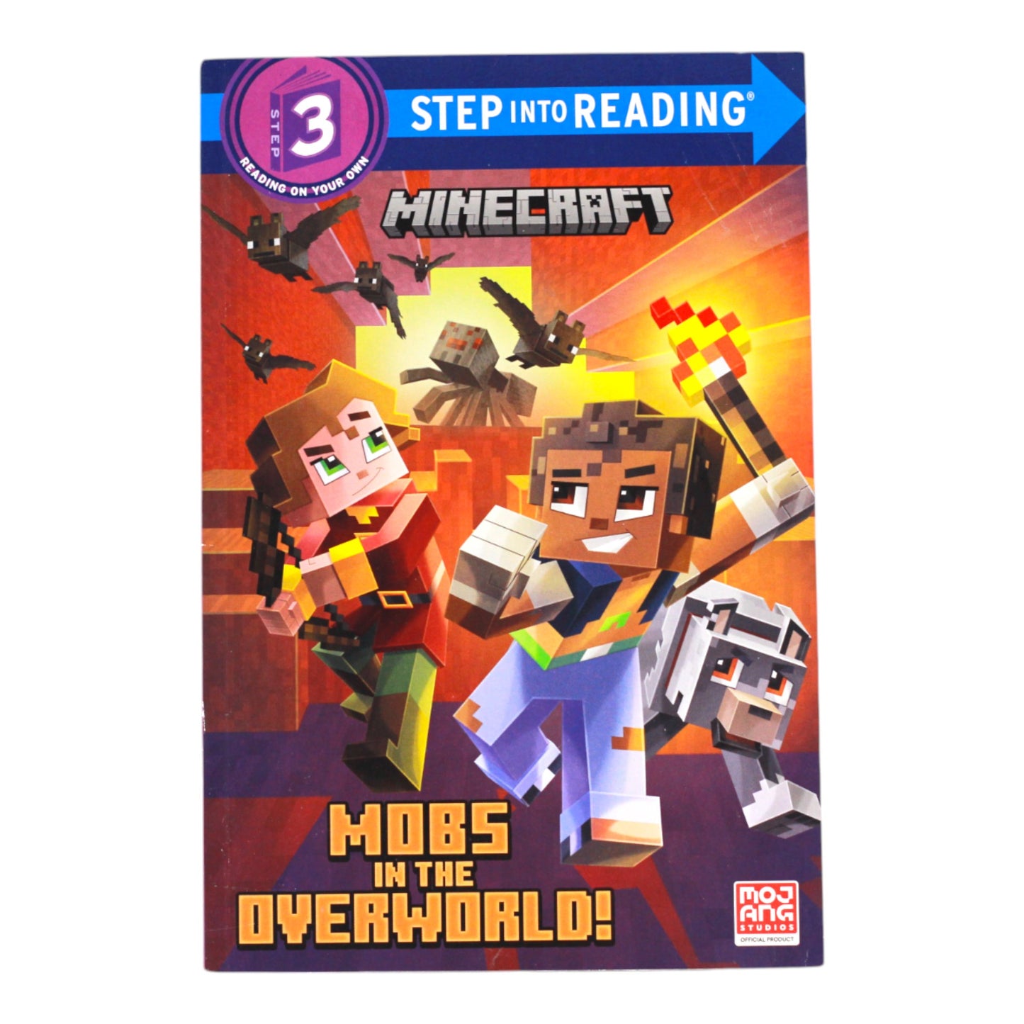 Mobs in the Overworld! (Minecraft)
